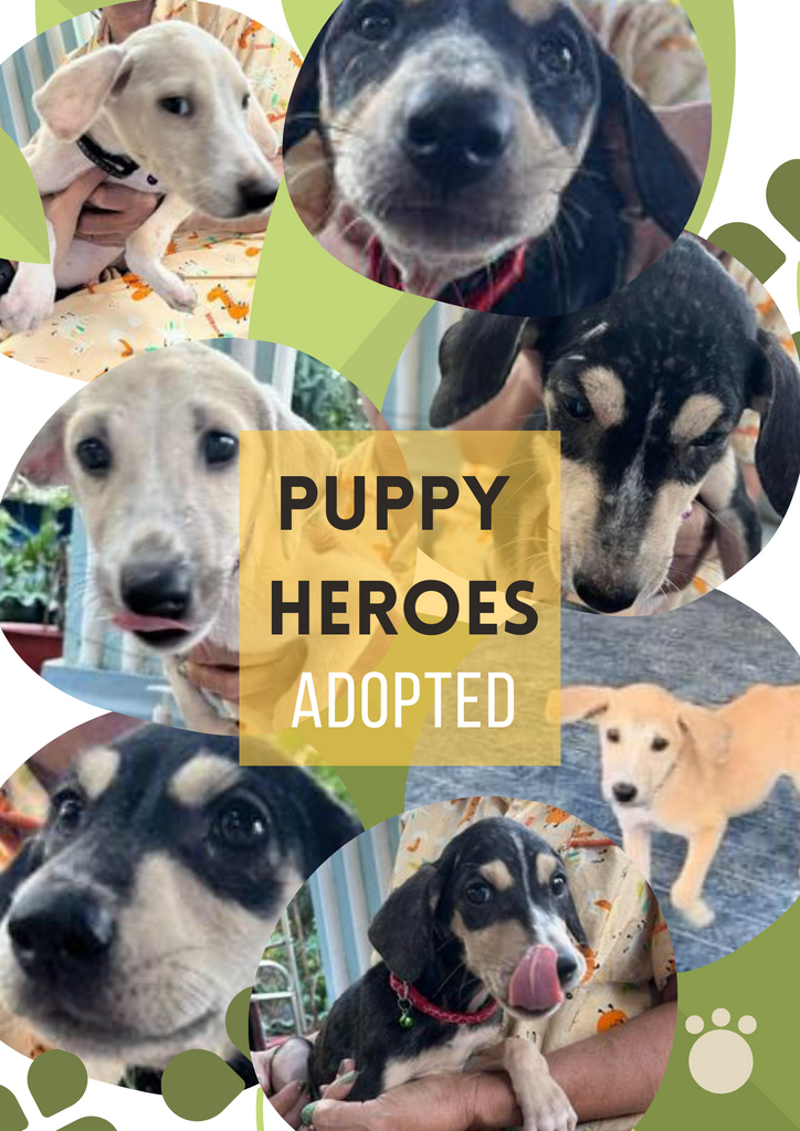 Puppy Heroes